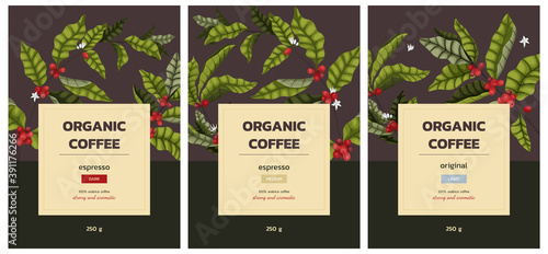 Vector illustration 3 concept of advertising coffee with branches and berries of coffee tree in cartoon style. Vertical banner or packaging design for coffee beans or ground