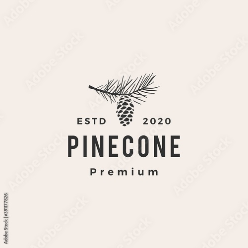 Obraz na płótnie pine cone hipster vintage logo vector icon illustration