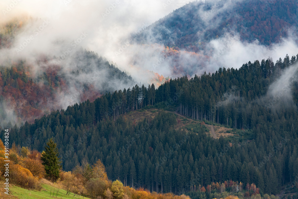 late autumn in the mountains late autumn in the mountains