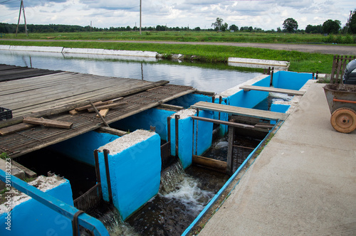 Farm to grow sturgeon and other fish photo