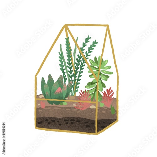 Geometric florarium with composition of succulents and desert plants. Glass t...