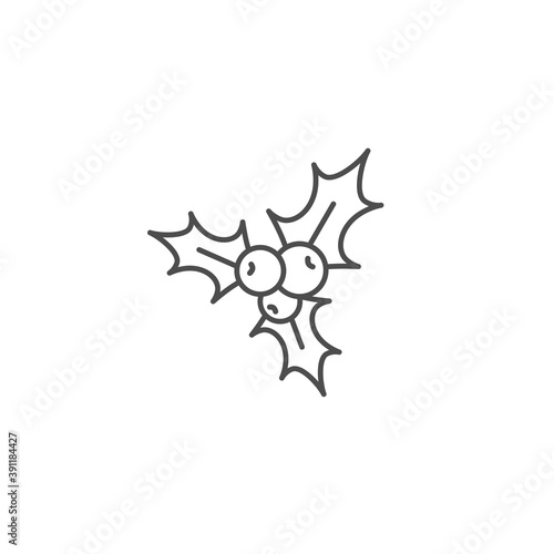 Holly berry black outline flat icon.
