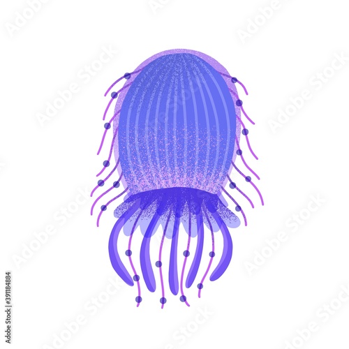 Flat vector cartoon illustration of vibrant jellyfish with tentacles. Violet medusa isolated on white background. Marine bright jelly fish. Swimming underwater creature