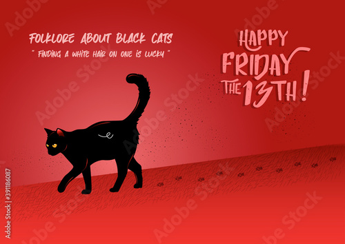 Folklore about black cat