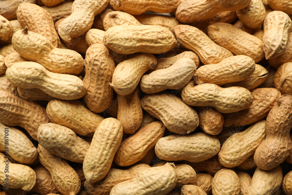 Peanut in a shell on whole background, close up Peanut in a shell on whole background, close up