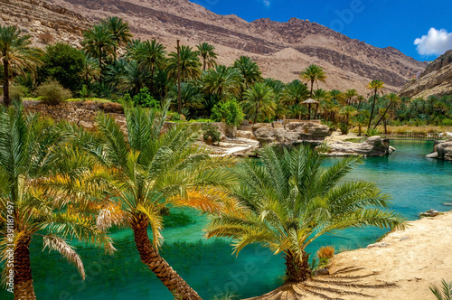 Oasis in the desert of Oman photo