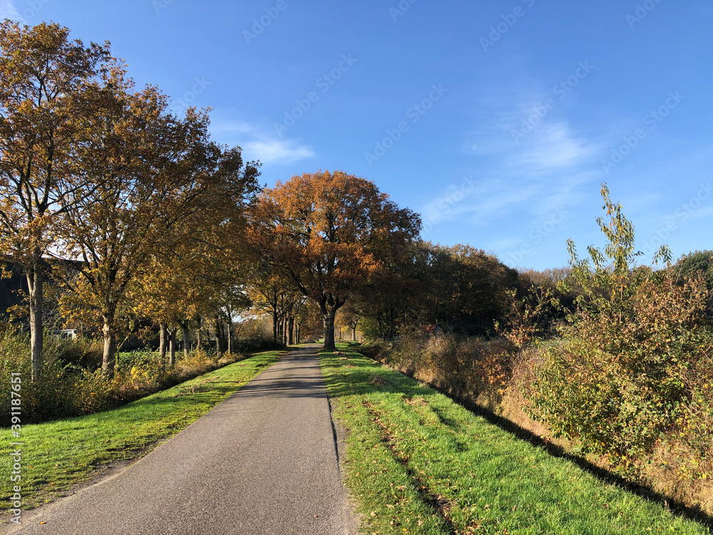 Road during autumn around Nijemirdum