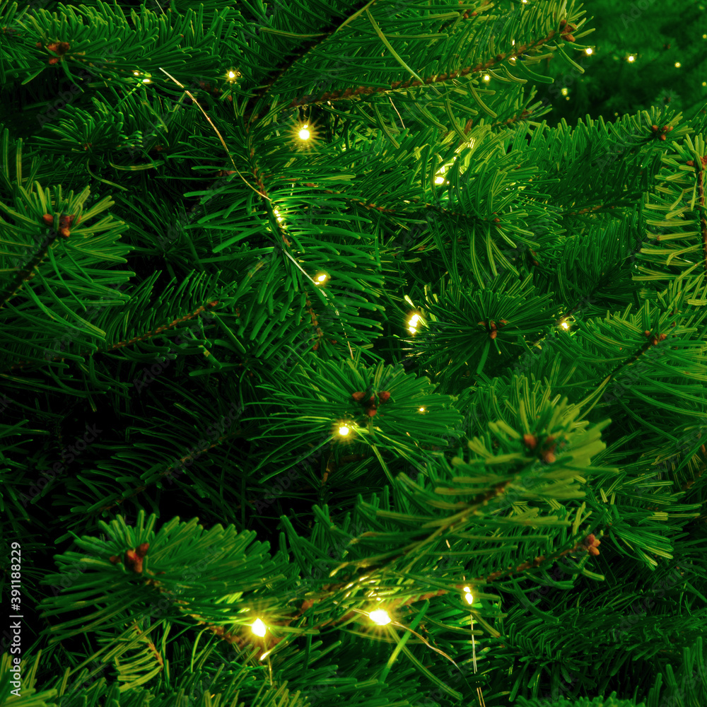 Background of green Christmas tree branches with garlands. Decorations for the new year and christmas, copy space