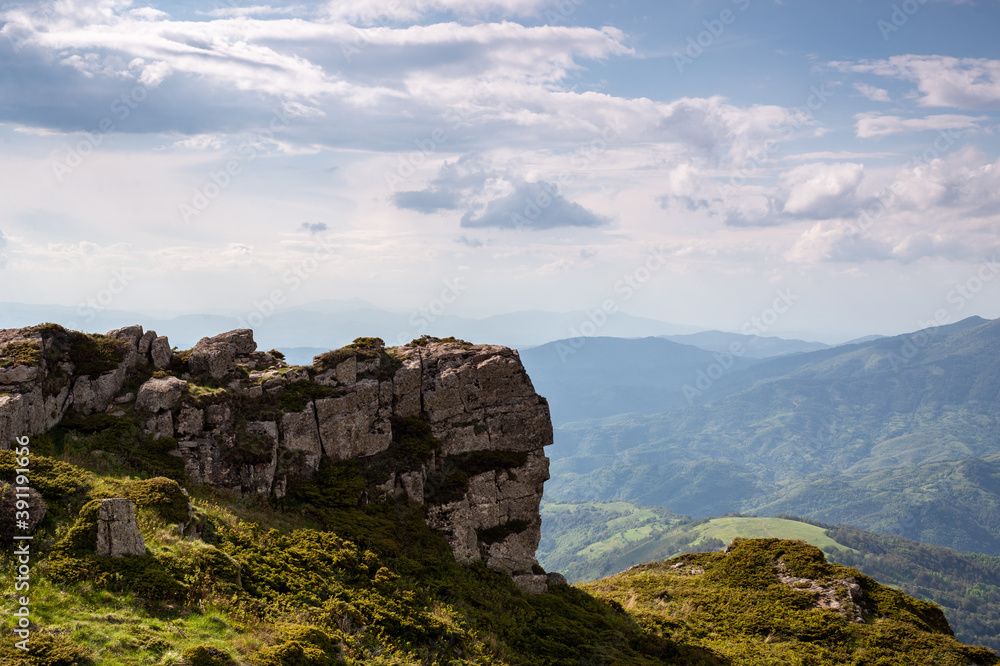 Naklejka premium Green valley nature landscape.