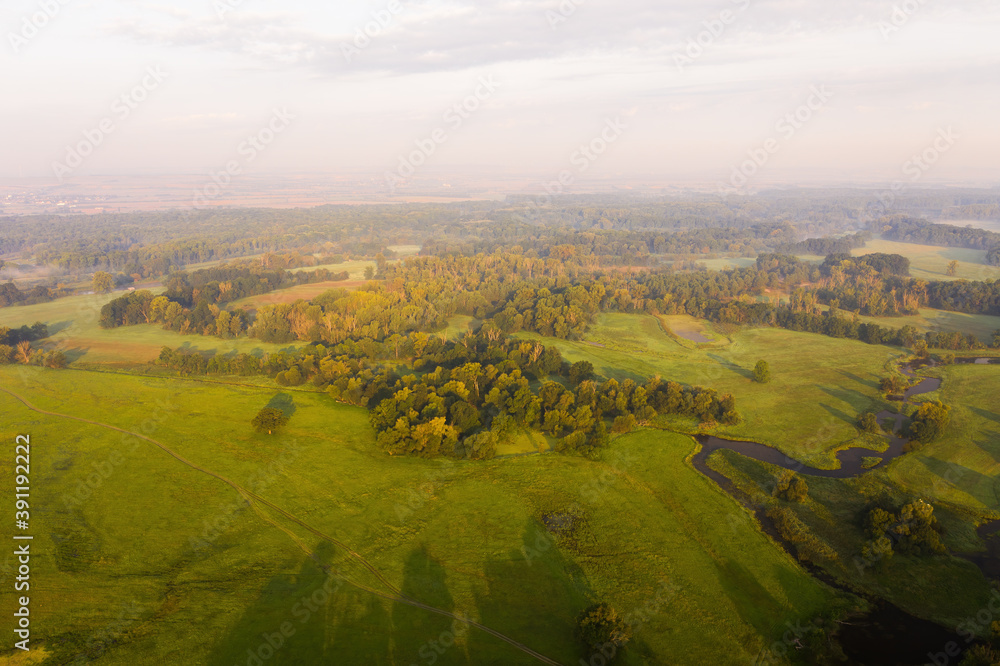 Trees casting long shadows on meadow with green grass in summer nature scene. Drone view on riparian forest with river arm at sunrise. Wilderness from above.