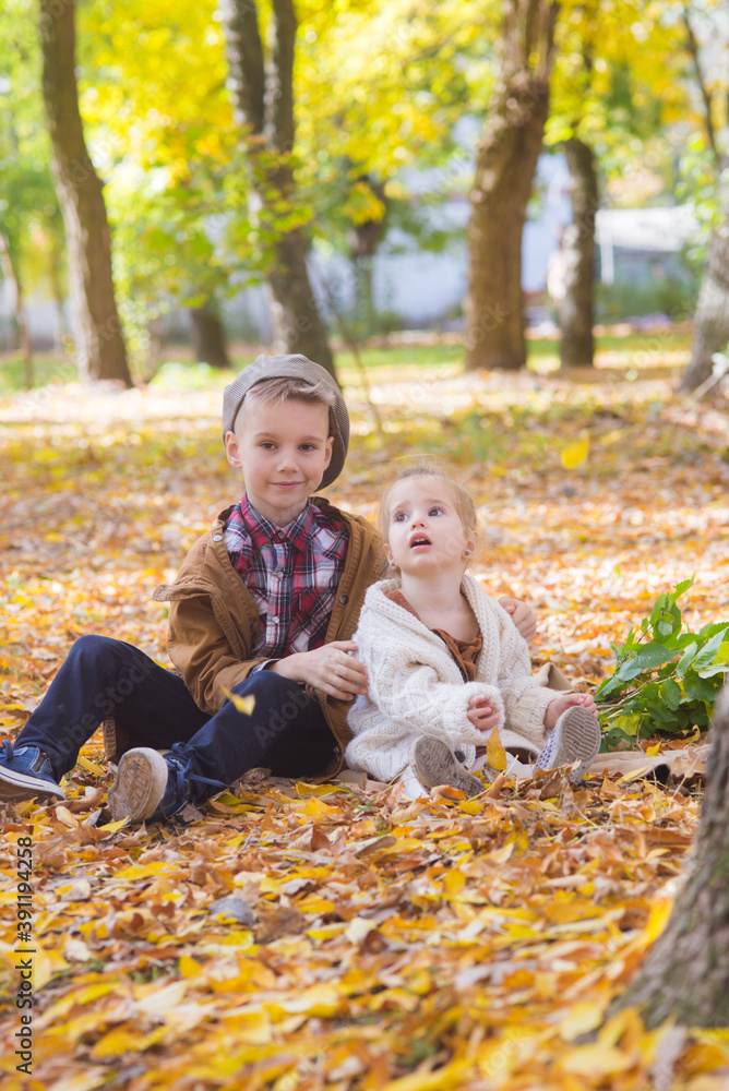 The elder brother and little sister are walking and laughing in the autumn park. Family and Children. Autumn mood
The elder brother and little sister are walking and laughing in the autumn park. Family and Children. Autumn mood