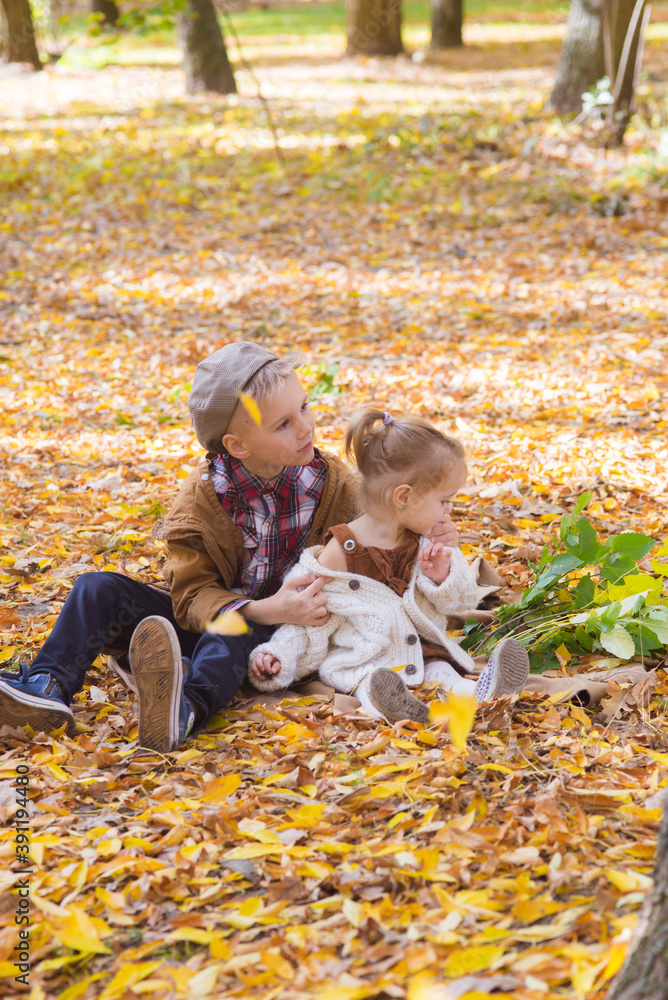 The elder brother and little sister are walking and laughing in the autumn park. Family and Children. Autumn mood
The elder brother and little sister are walking and laughing in the autumn park. Family and Children. Autumn mood