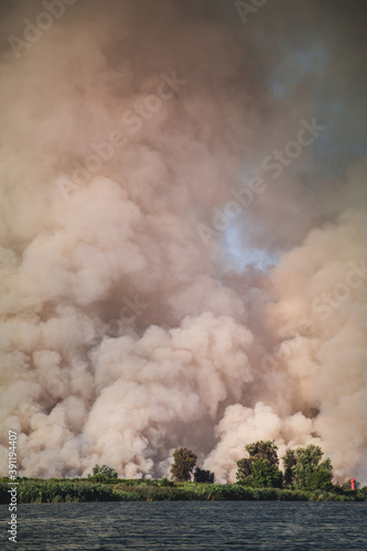 Large clouds of smoke, fire in nature.