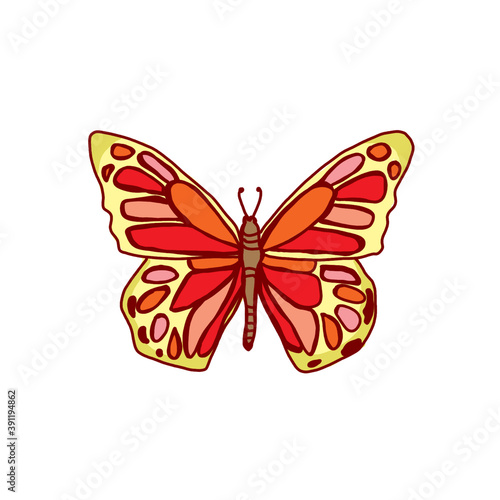 A red and orange butterfly © dovekevin1