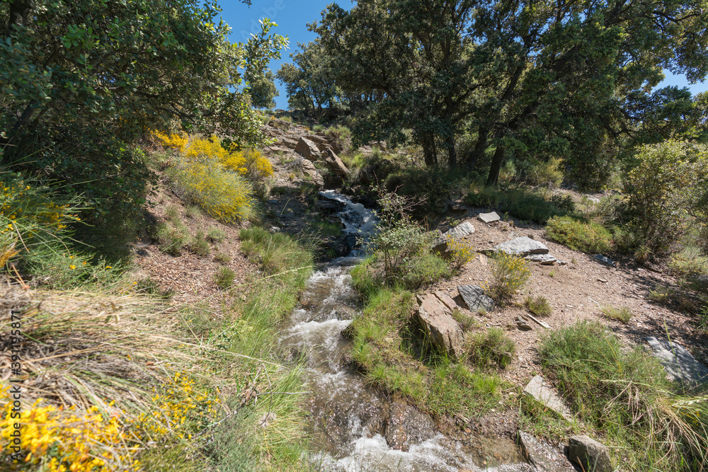 Crystal clear water flowing through a ditch Crystal clear water flowing through a ditch
