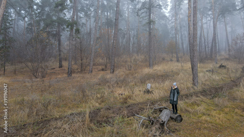 bicycle in the forest