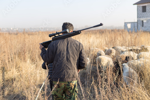 Flock of sheep and a man with weapons on a pasture in autumn