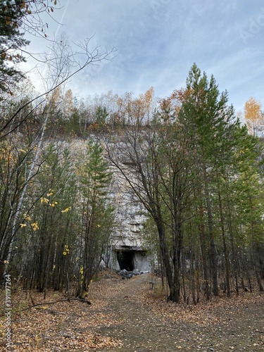 autumn in the woods