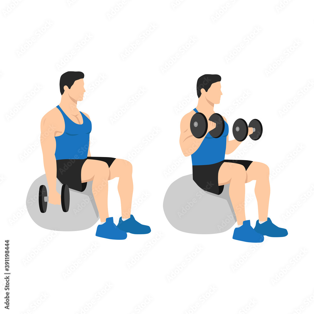 Man doing exercise Swiss ball bicep curls with dumbbell. Flat vector
