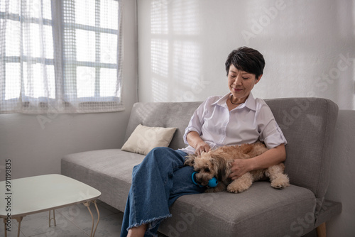 Smile middle-aged mature grey haired Asian woman playing with a dog, happy old lady posing at home indoor, positive single senior retired female sitting on a sofa in the living room