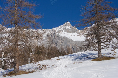 Winter landscape in Ramsau am Dachstein,Styria,Austria,Europe 