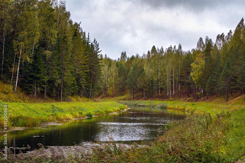 Coniferous forest on the shore of the lake in cloudy weather. Coniferous forest on the shore of the lake in cloudy weather.