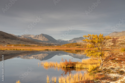 Autumn in Dørålen, Rondane, Norway.