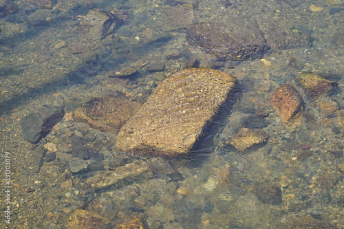 澄んだ川の中の石の写真