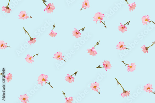 Flower blossom pattern on blue background.