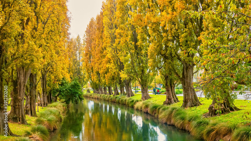 Canvastavla The Avon River in downtown Christchurch, New Zealand, with vibrant autumn foliage on poplar trees which line the riverbank