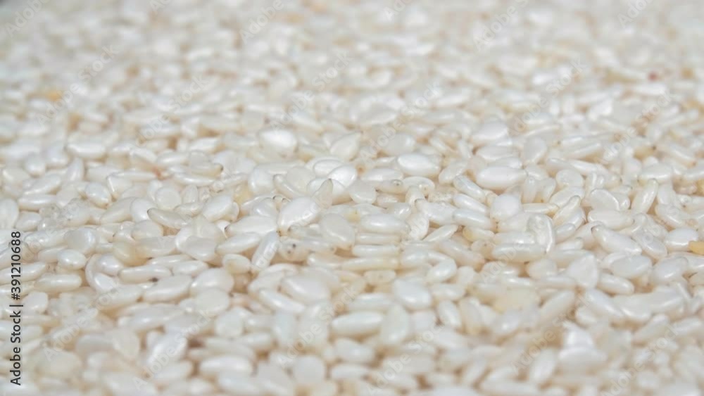 Sesame close-up. The background is from sesame seeds. It's a useful product. Extreme macro. Sesame close-up. The background is from sesame seeds. It's a useful product. Extreme macro.