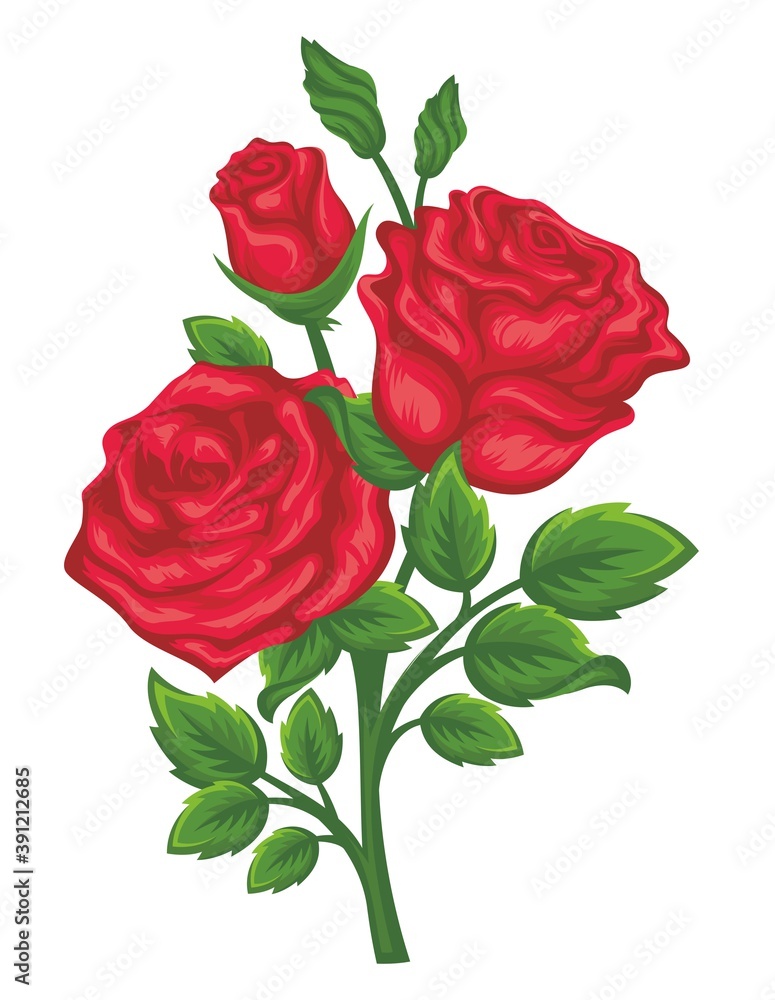 Vector of branches of red roses isolated on a white background. - Vector