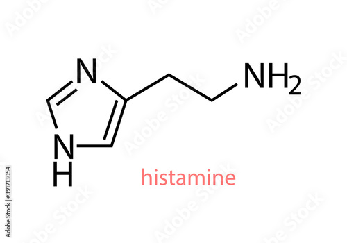 Histamine chemical structural formula out line vector design illustration