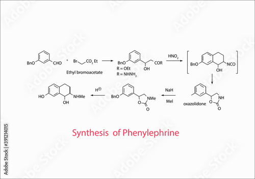 synthesis of phenylephrine vector design illustration