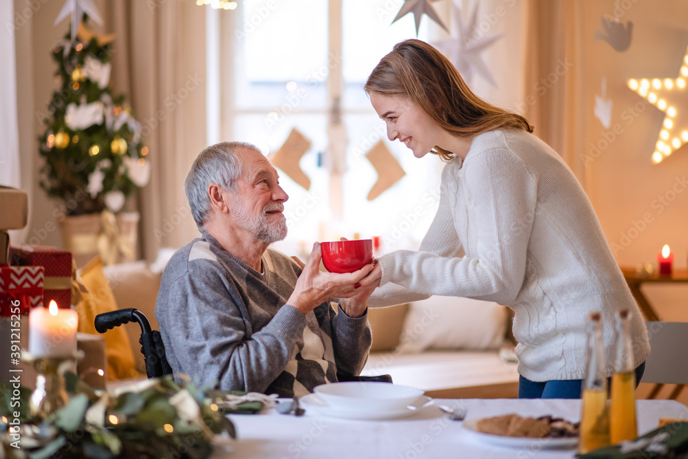 Young woman giving tea to senior grandfather in wheelchair indoors at home at Christmas. Young woman giving tea to senior grandfather in wheelchair indoors at home at Christmas.