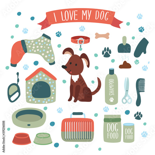 Illustration set of accessories for dog