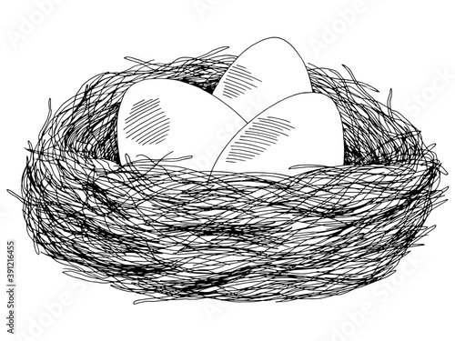 Eggs nest graphic black white isolated sketch illustration vector