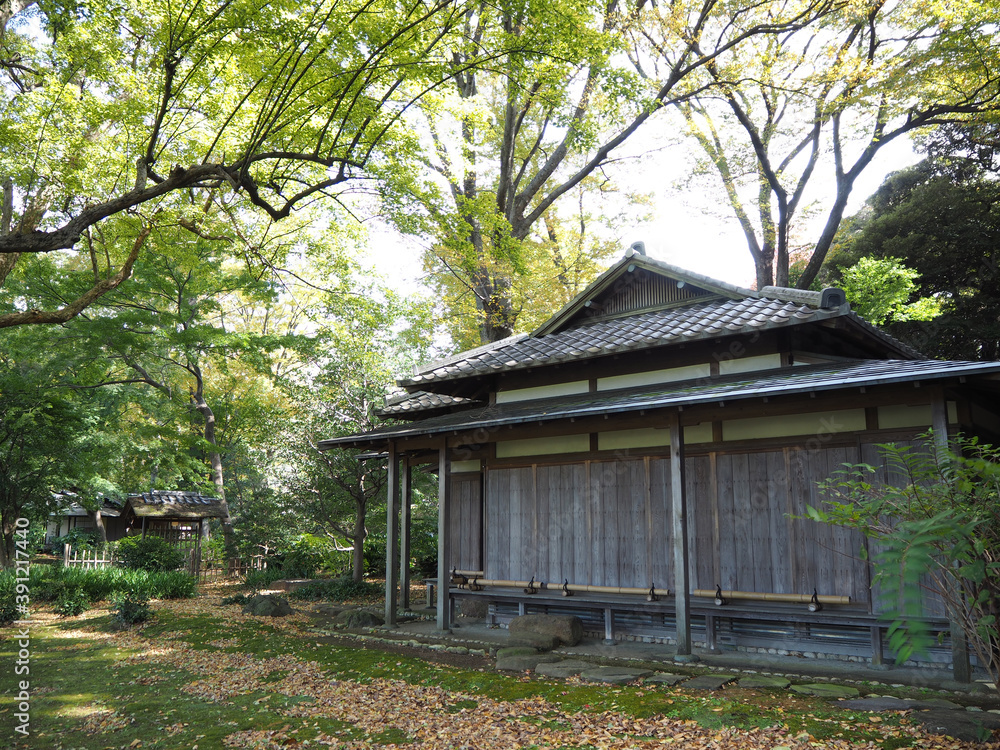 日本の伝統的な家屋 日本の伝統的な家屋