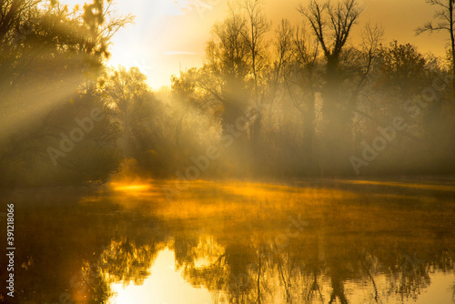 Novembermorgen in den Rheinauen in Taubergie  en