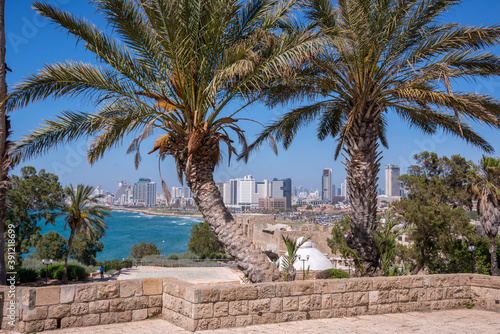 Palmeras en el parque de Abrasha y vista de la ciudad de Tel Aviv en Israel photo