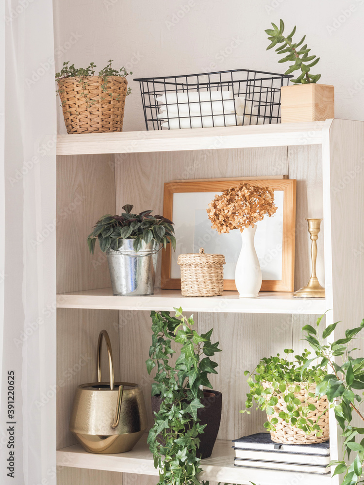 Houseplants and home decor on wooden shelves Houseplants and home decor on wooden shelves