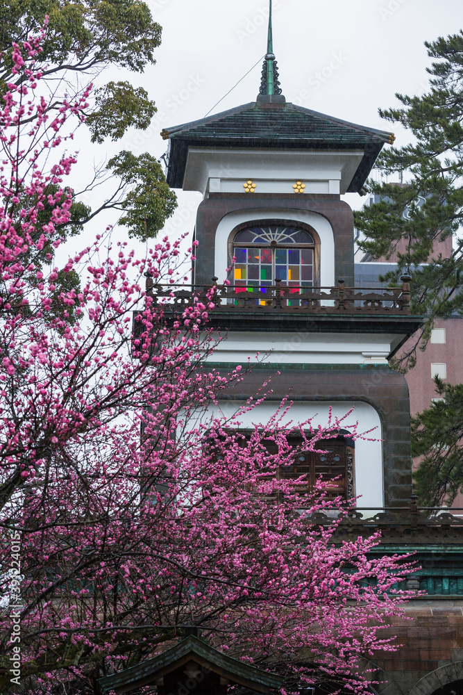 日本　石川県金沢市、尾山神社の神門と咲き誇る梅
