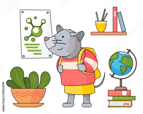 Cute mouse student with backpack standing near plant in pot, poster with molecula, book shelf, globe, stack of books. Pupil in school cabinet. Cartoon character for children s book. Back to school