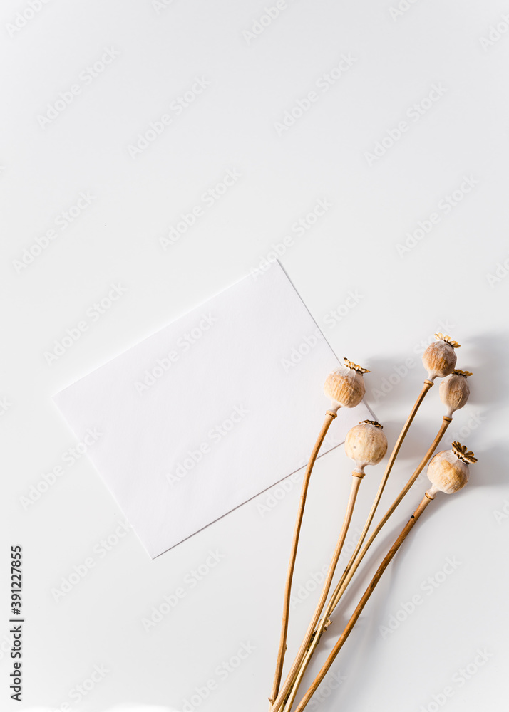 bunch of dry poppy flowers on white background with white card bunch of dry poppy flowers on white background with white card