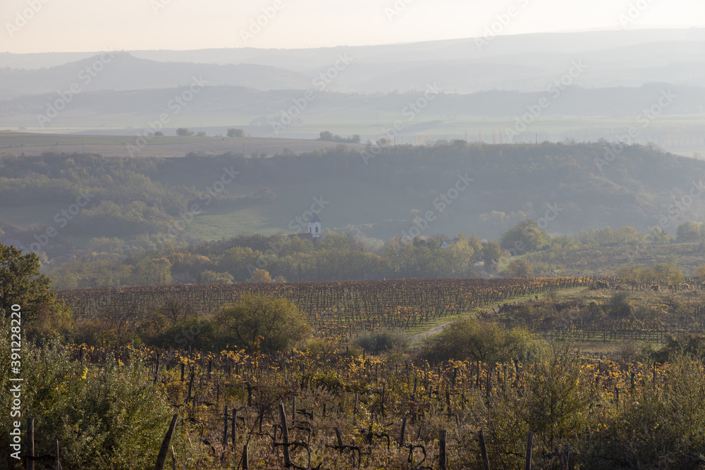 Obraz premium Nebel in den Bergen im Herbst in ungarn