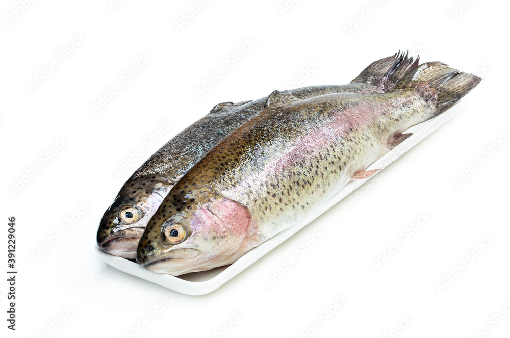 Fresh raw rainbow trout fish isolated on white Fresh raw rainbow trout fish isolated on white