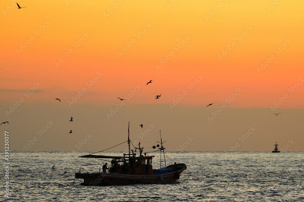 漁船と海鳥