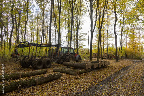 Schlepper im wald stehet für die Arbeit bereit