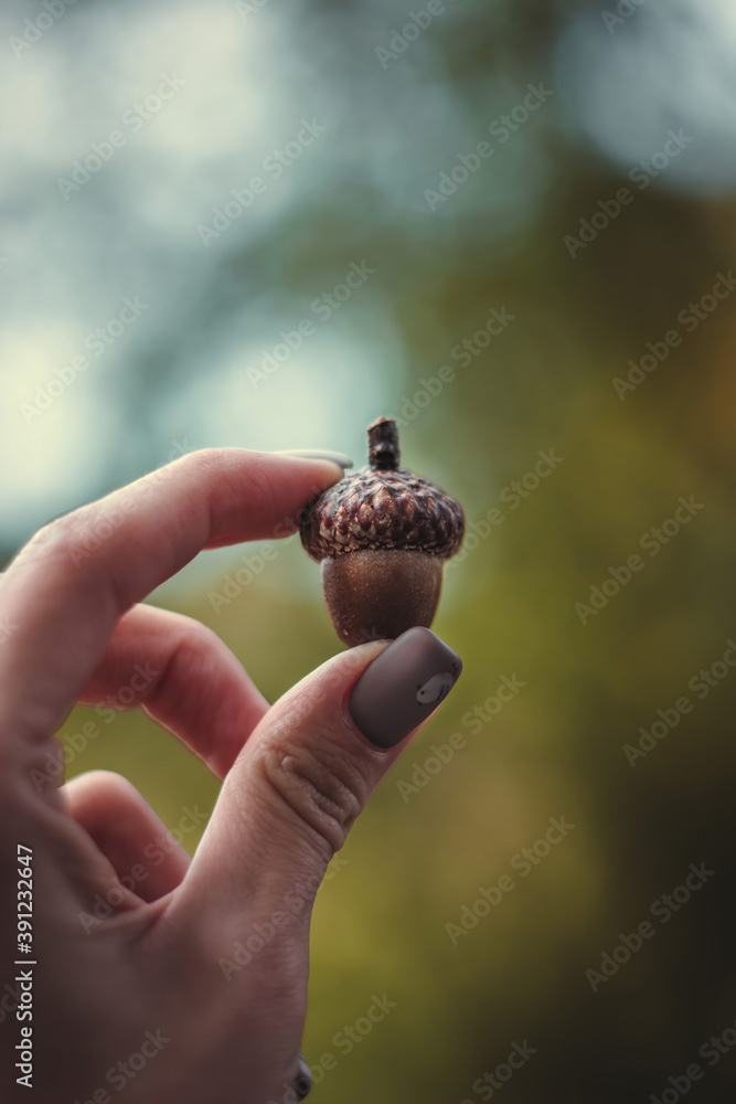 Woman holding acorns in hand against trees and sky. Bokeh bubbles in the background. Painted autumn nails