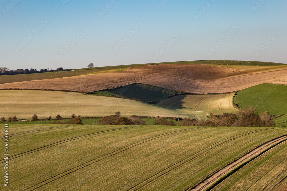 Fototapeta premium An Autumn Farm Landscape in the South Downs